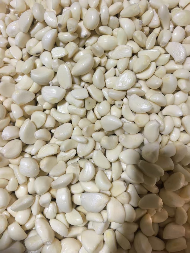 【精选】特级蒜米品质保证对接商超食品厂欢迎洽谈