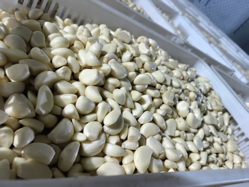 【精选】特级蒜米品质保证对接商超食品厂欢迎洽谈
