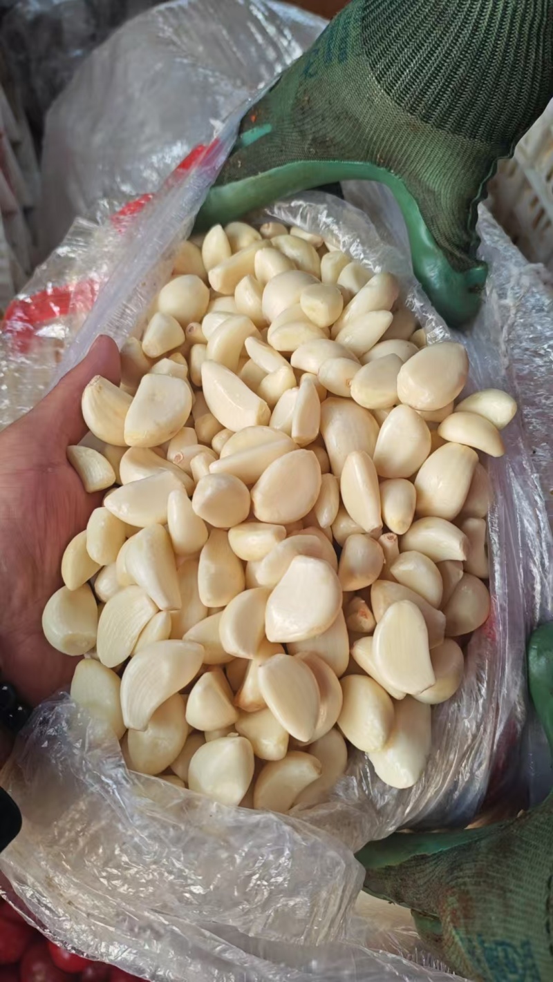【精选】特级蒜米品质保证对接商超食品厂欢迎洽谈