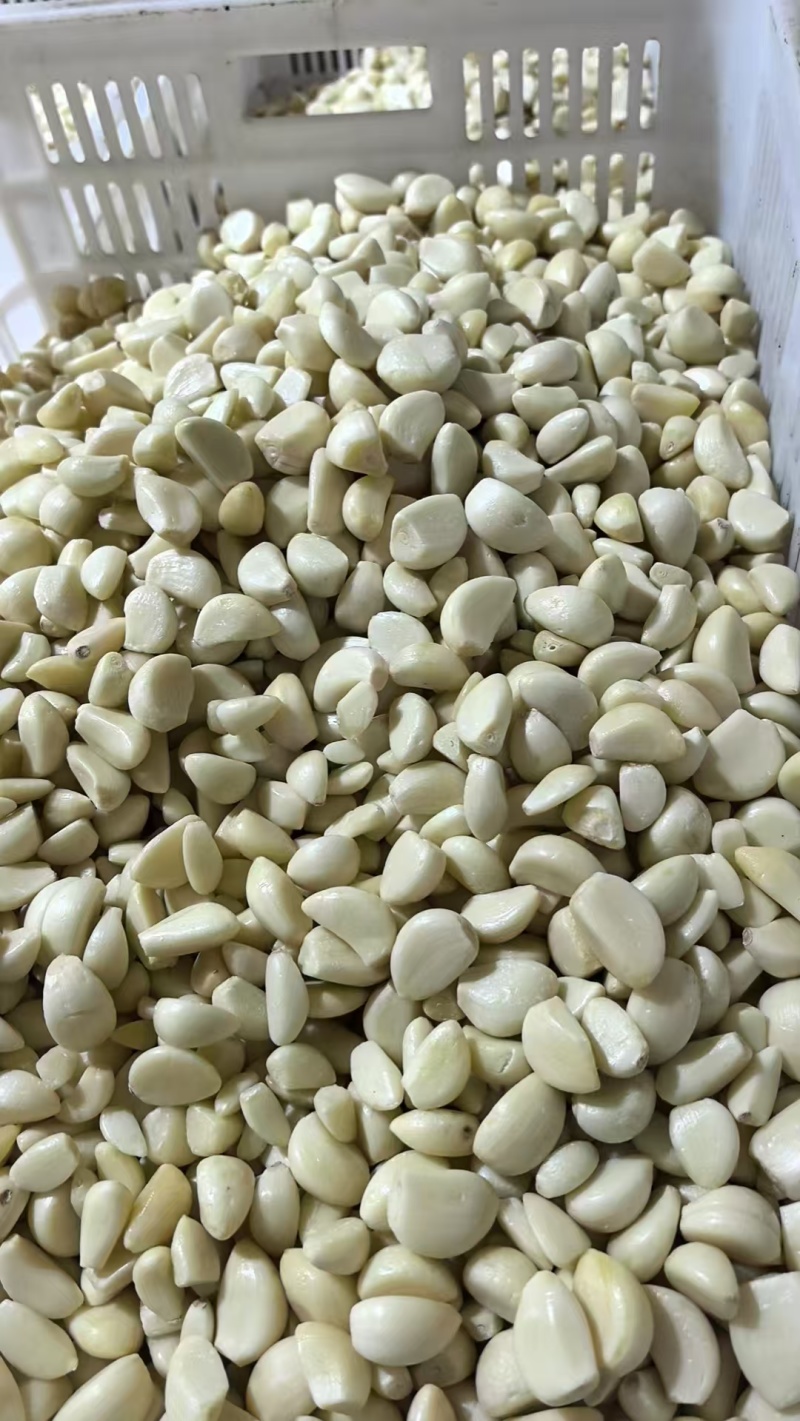【精选】特级蒜米品质保证对接商超食品厂欢迎洽谈