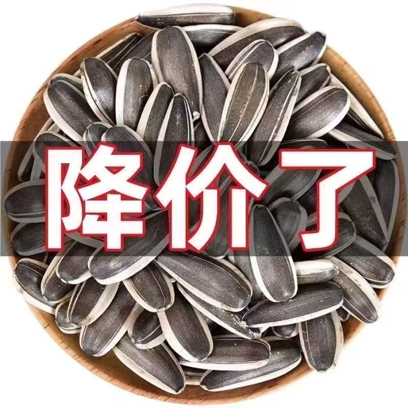 葵花籽/内蒙产区直发/货源充足/大量有货