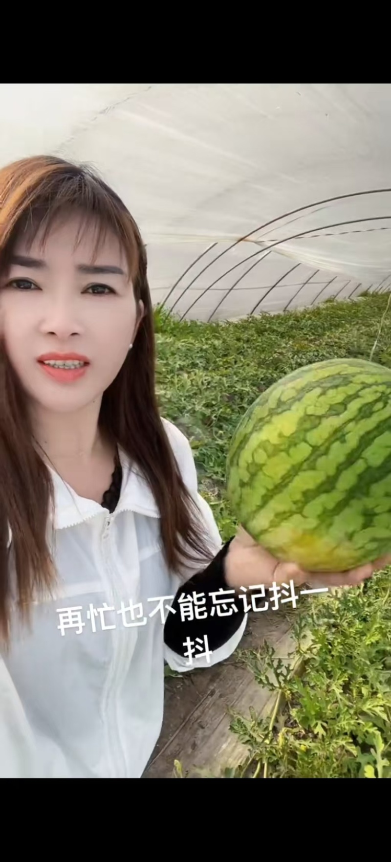 特小凤西瓜/产地直供/保质保量/欢迎各位老板前来购买
