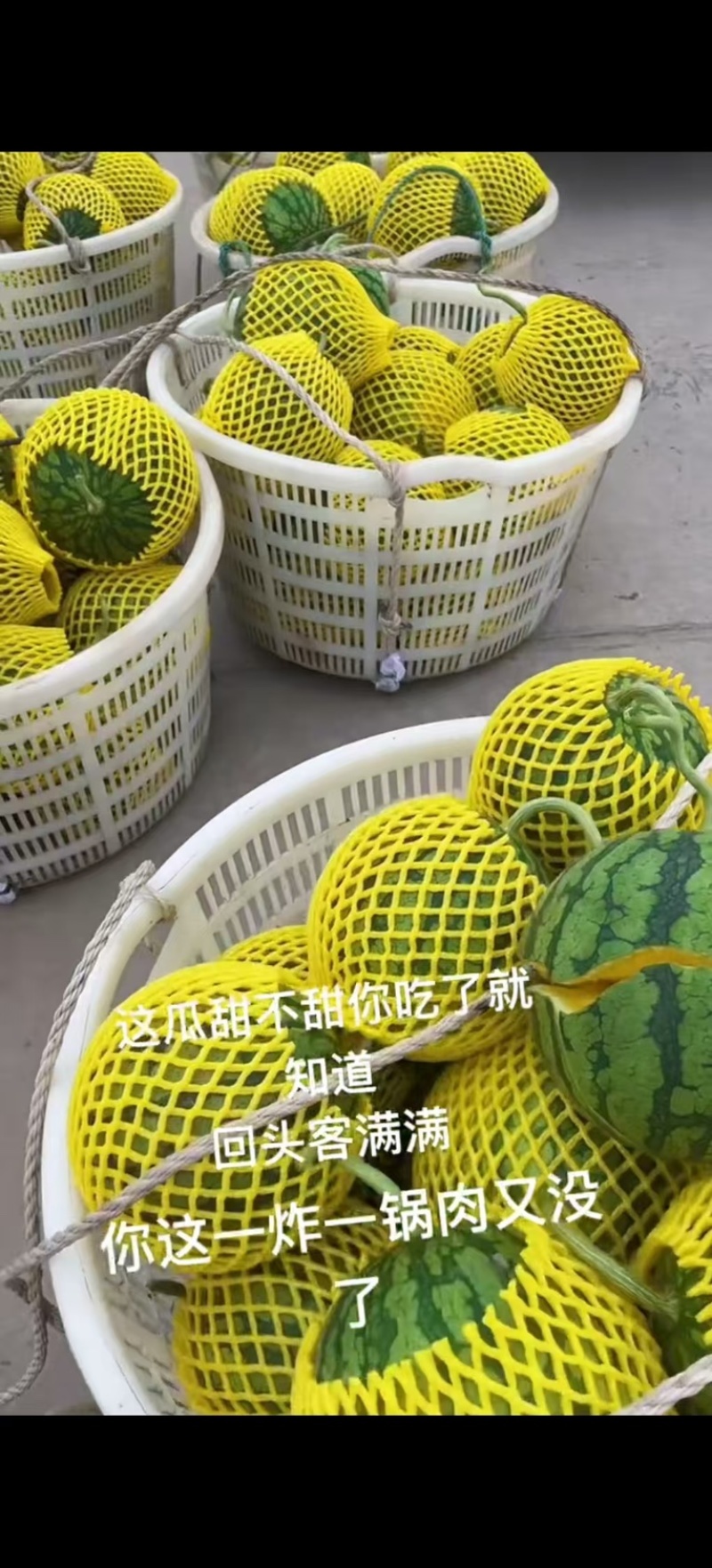 特小凤西瓜/产地直供/保质保量/欢迎各位老板前来购买
