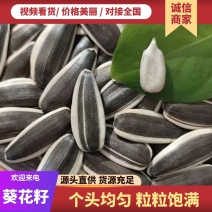三瑞九号葵花籽/内蒙产区直发/大量有货/货源充足