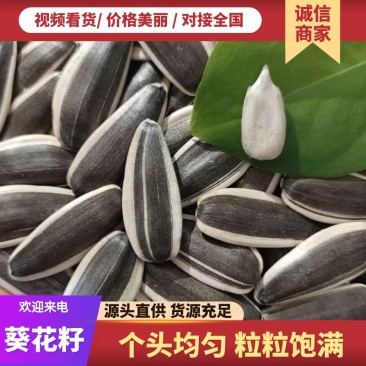 三瑞九号葵花籽/内蒙产区直发/大量有货/货源充足
