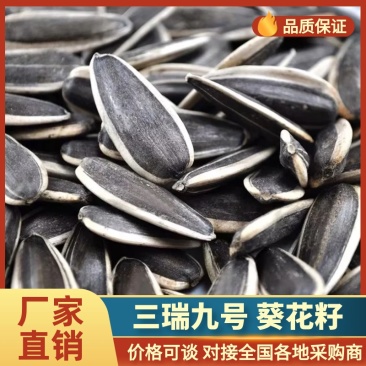 葵花籽/内蒙产区直发/货源充足/大量有货