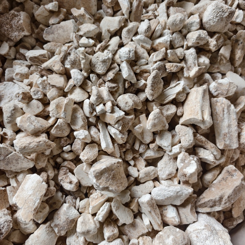 龙骨龙骨水洗干净正品货黏舌头地道药材产地甘肃省