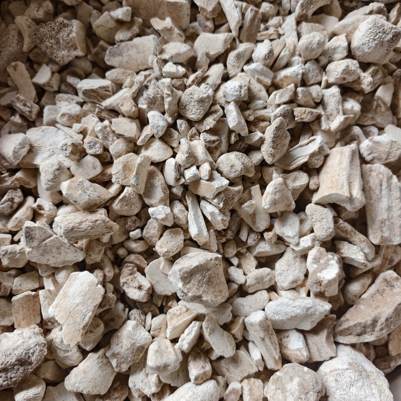 龙骨龙骨水洗干净正品货黏舌头地道药材产地甘肃省