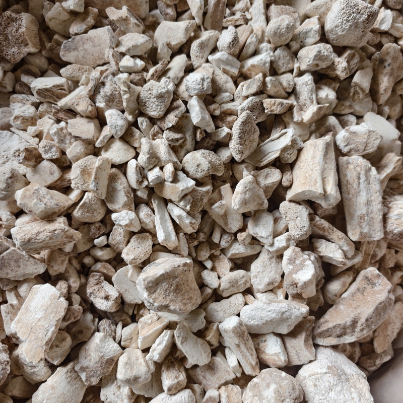 龙骨龙骨水洗干净正品货黏舌头地道药材产地甘肃省