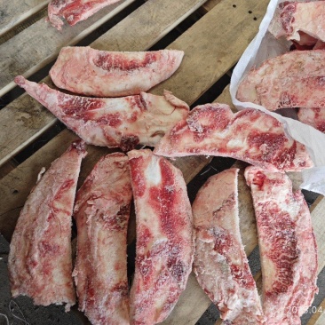 带肉牛月牙骨