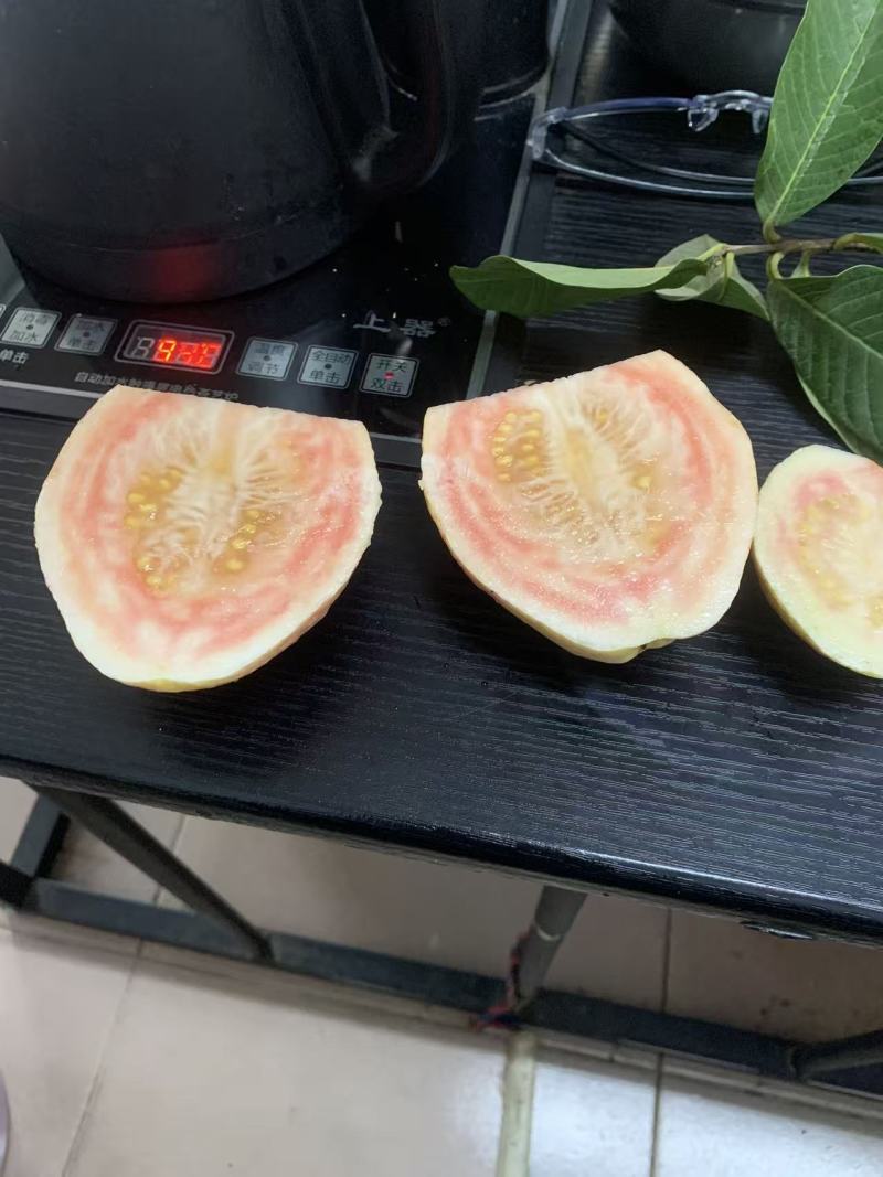 芭乐一级果渠道果各种规格包装