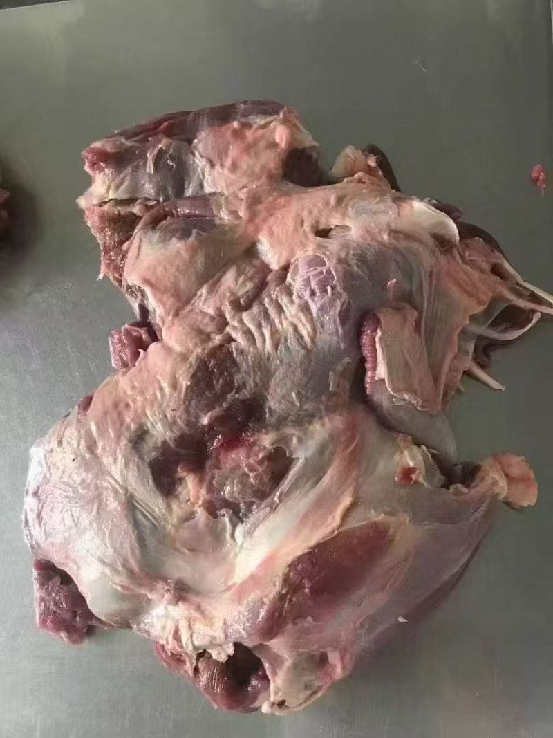 伊淳康后腿