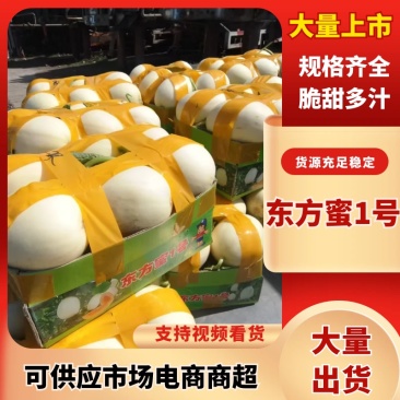 东方蜜瓜/产区直发/货源充足/欢迎选购