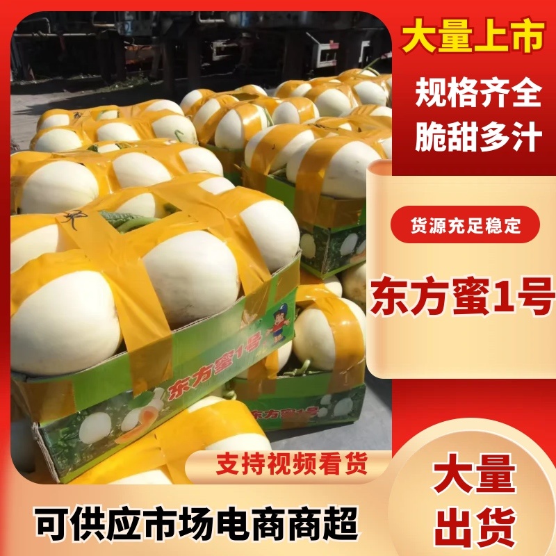 东方蜜瓜/产区直发/货源充足/欢迎选购