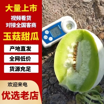 玉菇甜瓜/浙江台州三门产区直发/货源充足/