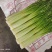 汉源蒜苔，嫩，鲜，香，脆，口感好，价格也便宜了