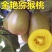 猕猴桃苗品种