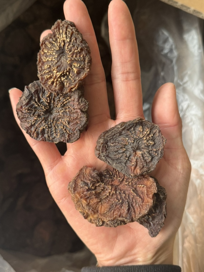 肉苁蓉油性好肉大芸内蒙实拍大芸片现货肉苁蓉个