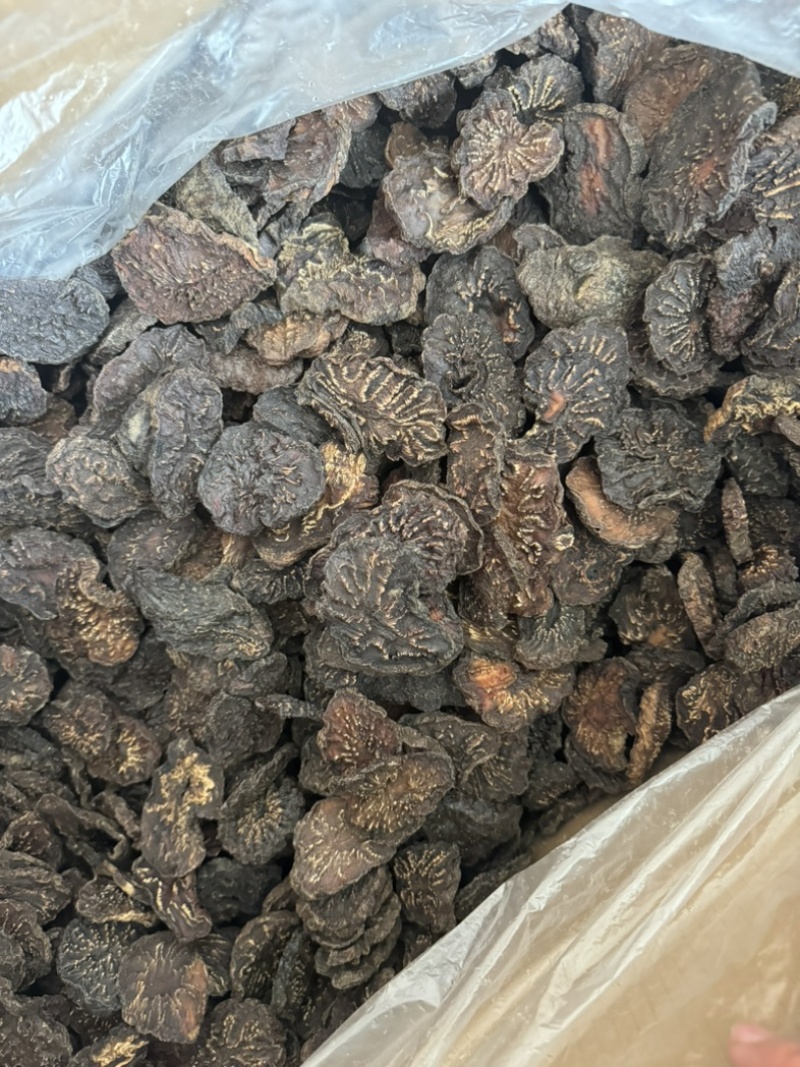 肉苁蓉油性好肉大芸内蒙实拍大芸片现货肉苁蓉个