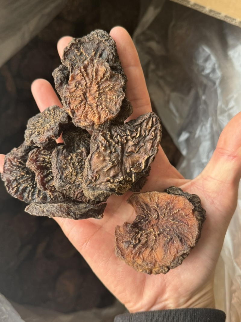 肉苁蓉油性好肉大芸内蒙实拍大芸片现货肉苁蓉个