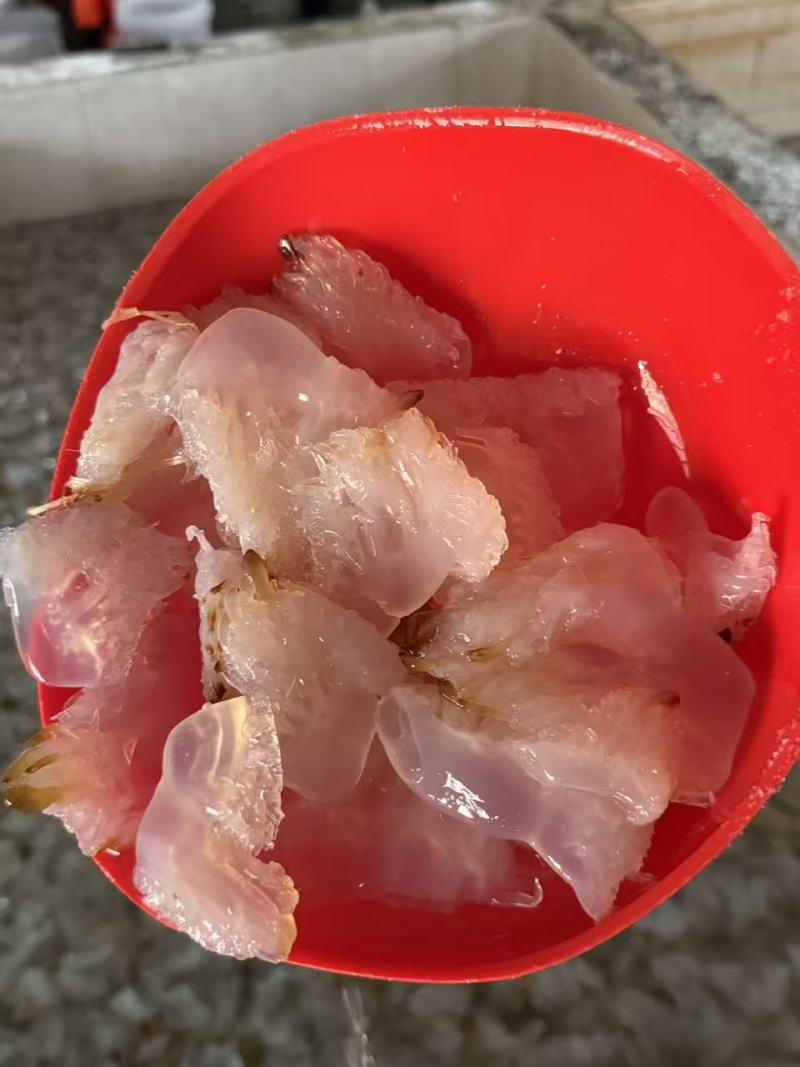 海蜇丝、海蜇头、海蜇皮、海蜇花、硬度好清脆爽口，可供酒楼