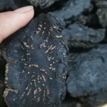 精选新疆荒漠肉苁蓉，原厂直发，全国包邮。量大从优