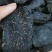 精选新疆荒漠肉苁蓉，原厂直发，全国包邮。量大从优