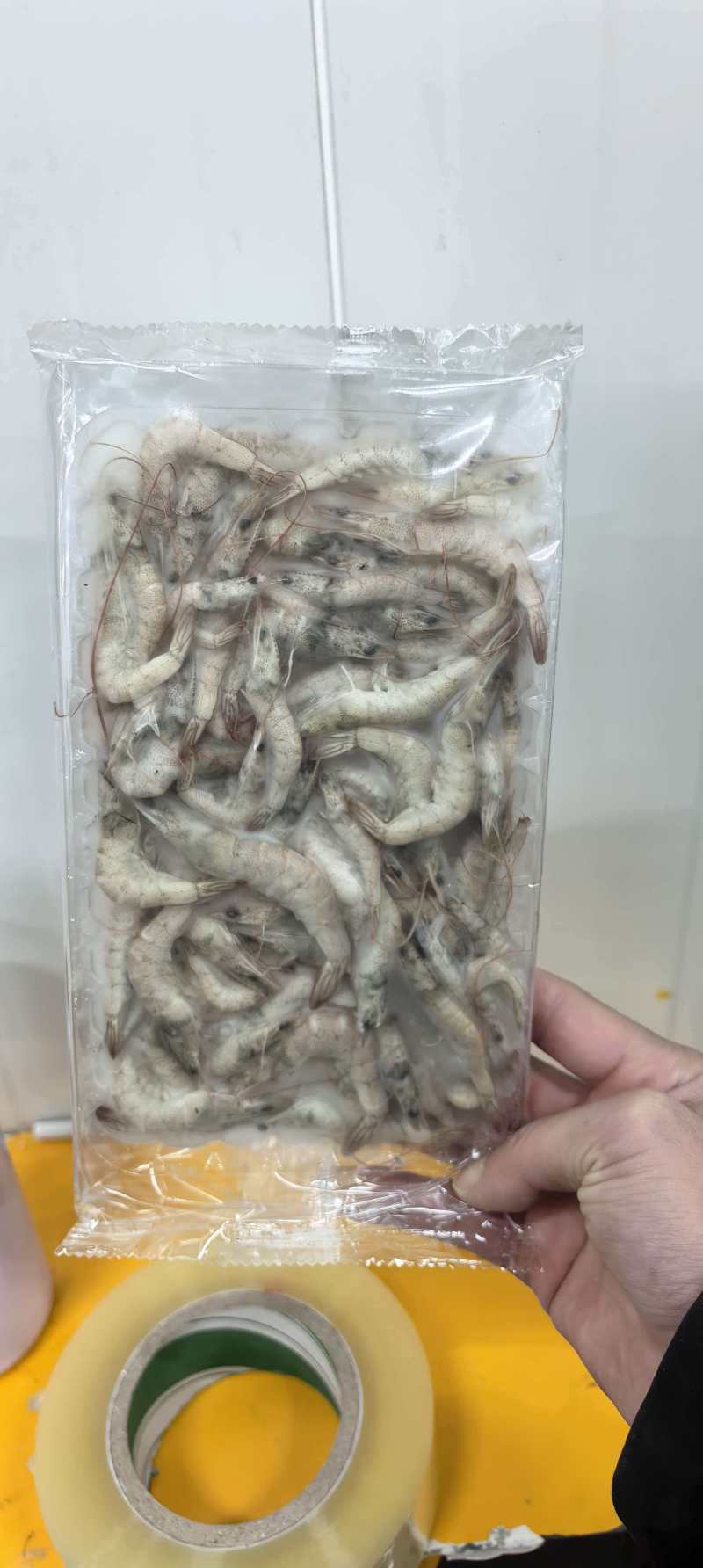 小河虾