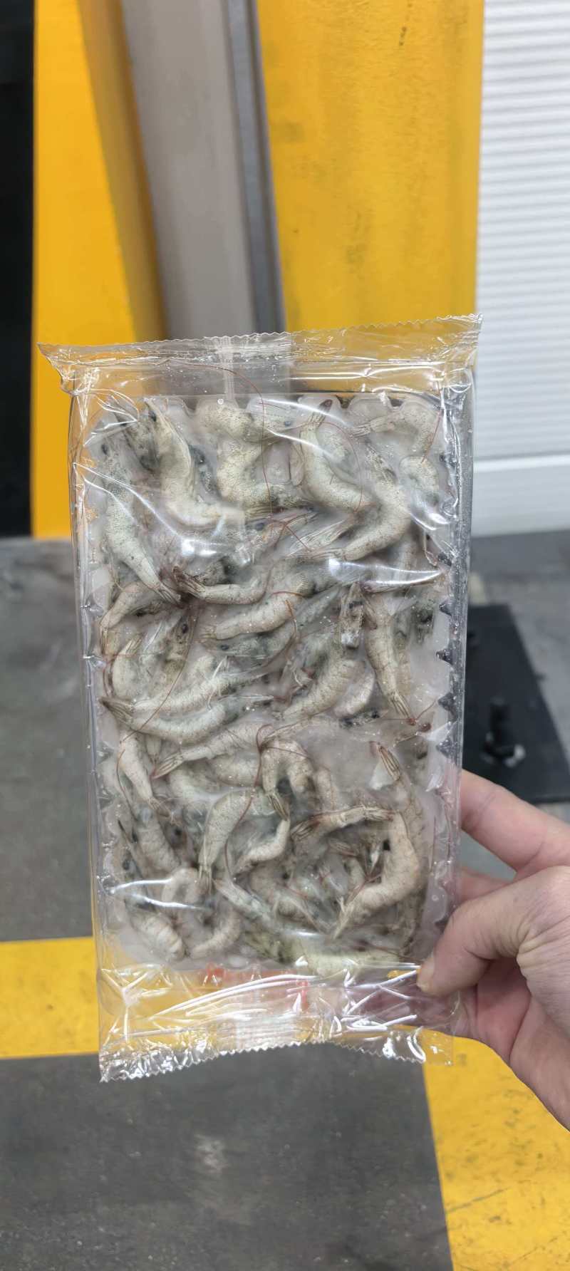 小河虾