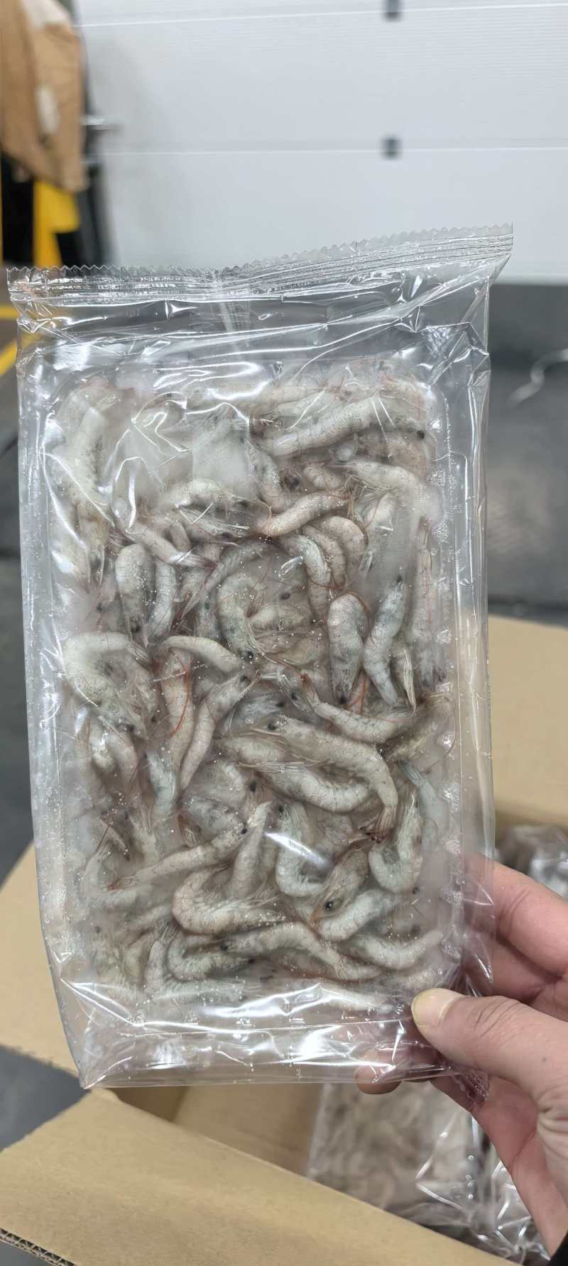 小河虾