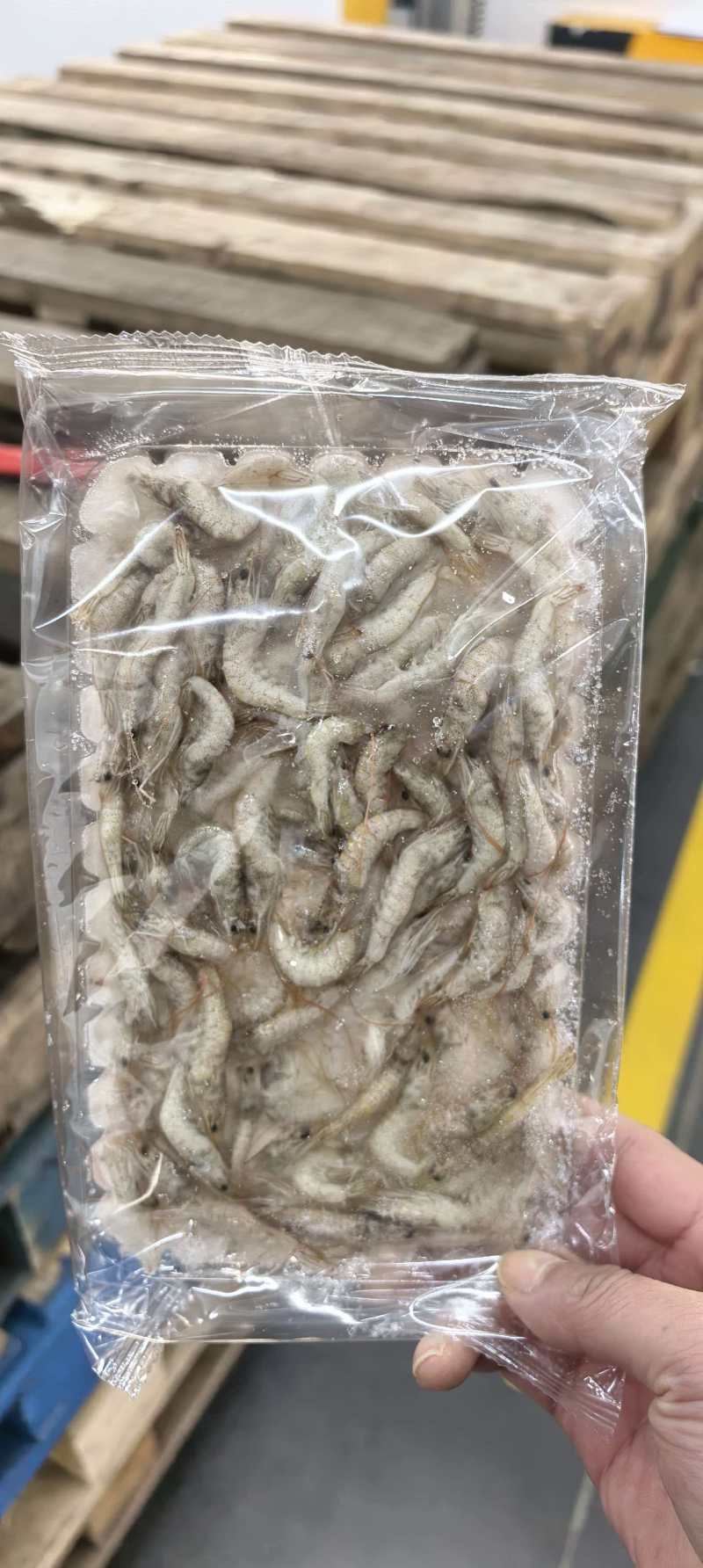 小河虾