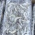 小河虾