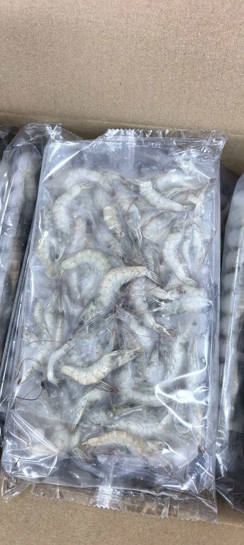 小河虾