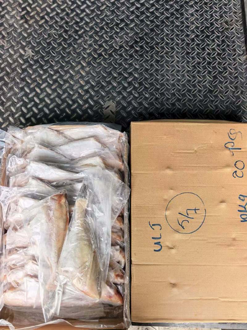 套袋耗儿鱼条数在：20条上