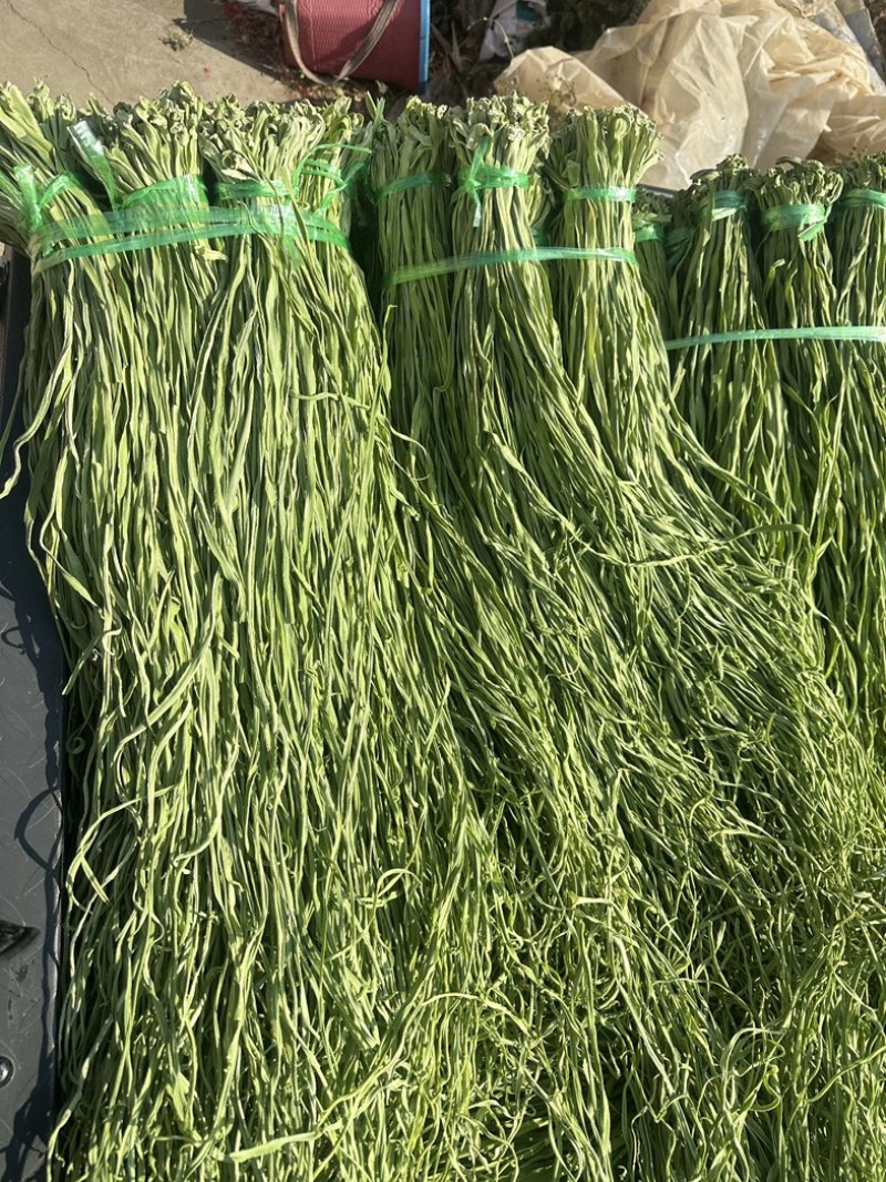 云南楚雄高山贡菜