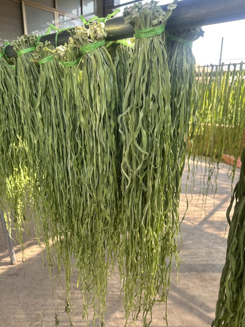 云南楚雄高山贡菜