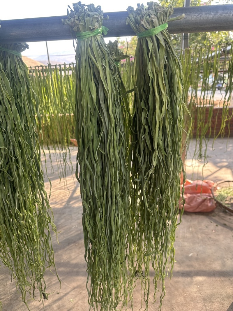 云南楚雄高山贡菜