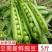 【现摘现发】新鲜带壳甜豌豆甜脆豌豆