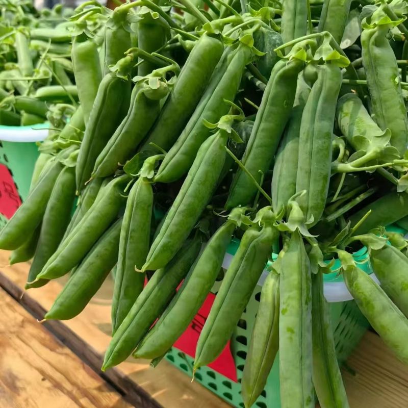 【现摘现发】新鲜带壳甜豌豆甜脆豌豆