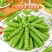 【现摘现发】新鲜带壳甜豌豆甜脆豌豆