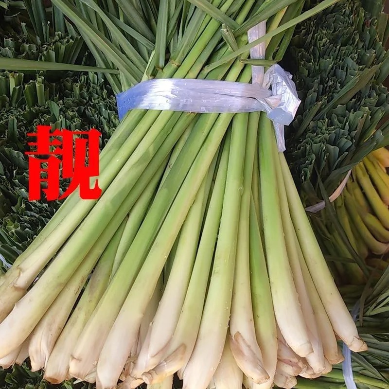 新鲜香茅草香茅香草柠檬香茅泰式泰国冬阴功汤
