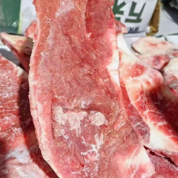 多肉牛月牙骨