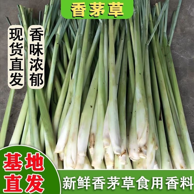 新鲜香茅草香茅香草柠檬香茅泰式泰国冬阴功汤