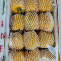 红黄绿彩椒