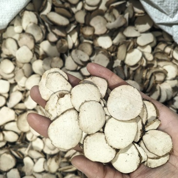 三棱今年新货颜色好看大统装货量大从优