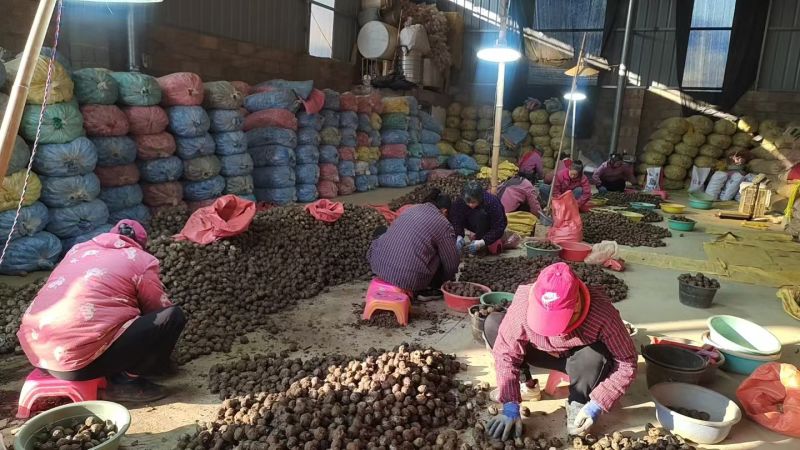 马蹄荔浦高山马蹄品质保好。清脆可口，****