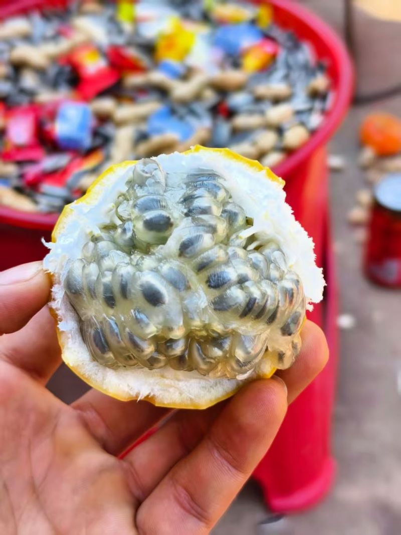 热带水果哥伦比亚热情果又称甜西番莲，欢迎咨询