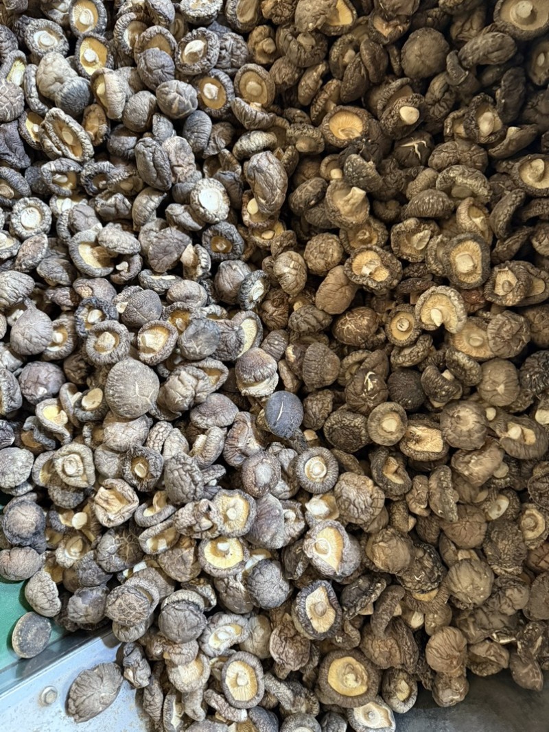 包邮精选3～4厘米新货泌阳干香菇