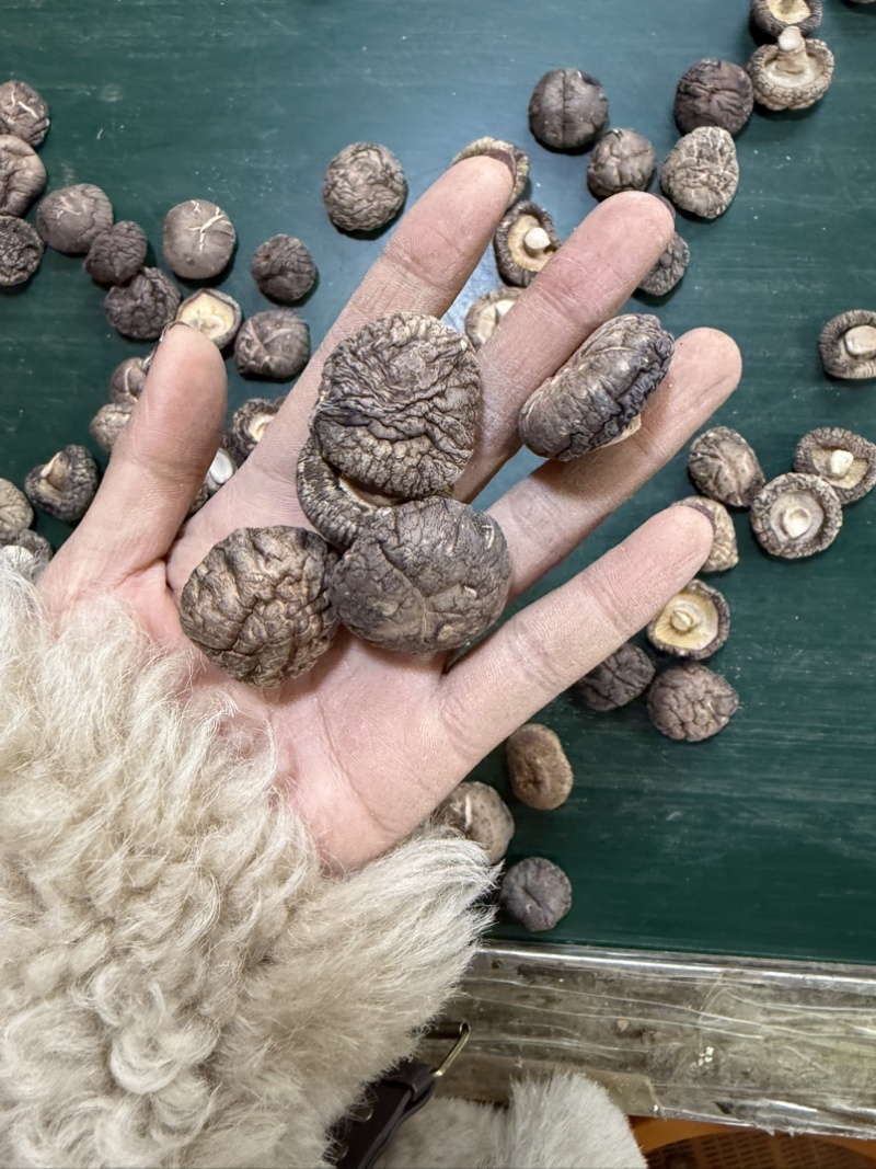 包邮精选3～4厘米新货泌阳干香菇