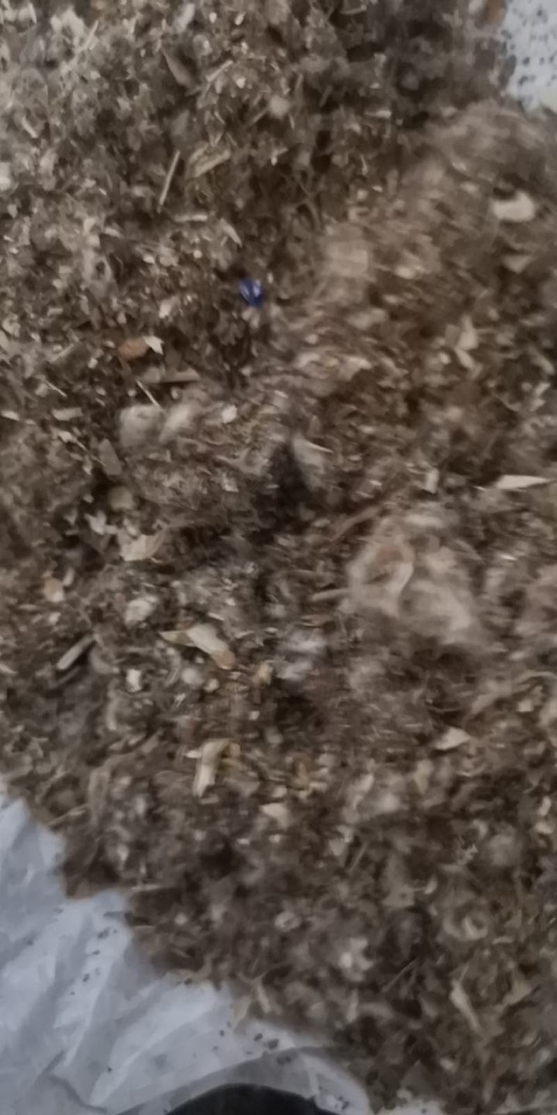 江西九江棉壳渣，适应品种菇壳绒较中细
